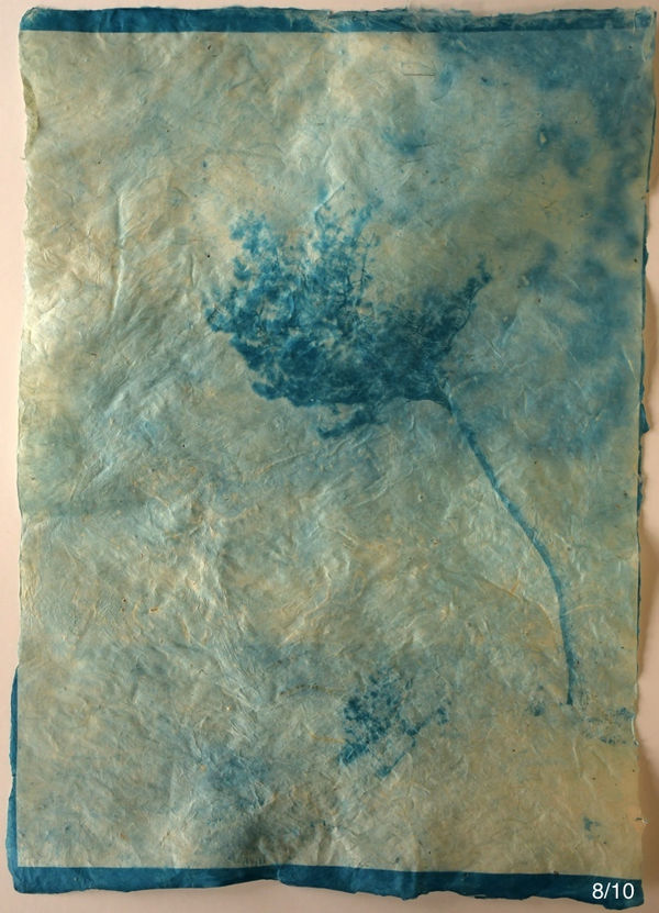 Mika Horie, The harmony with the wind, 2019