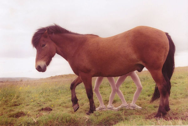 Ariko Inaoka, Eagle & Raven - Horse, 2011