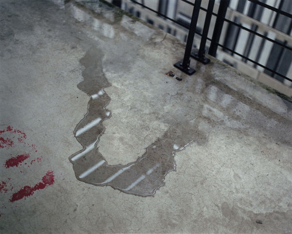 Yoko Ikeda, 1108-01 Ghent, Belgium, 2013