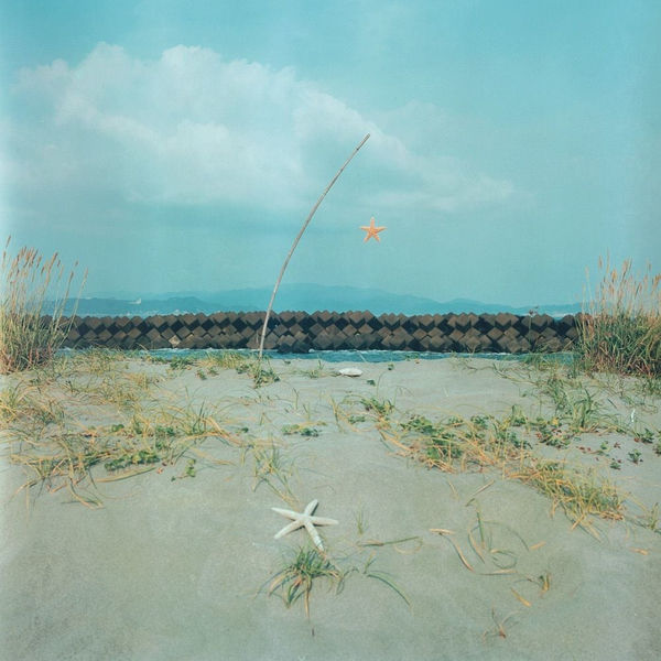 Hiromi Kakimoto, Little World #22, 2001-2004