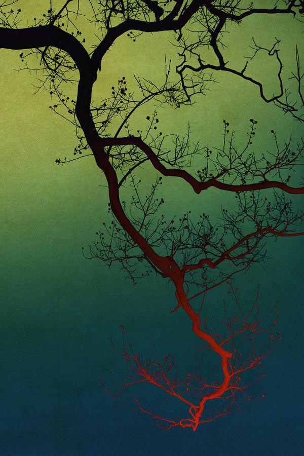 Albarrán Cabrera, The Mouth of Krishna #733, 2019