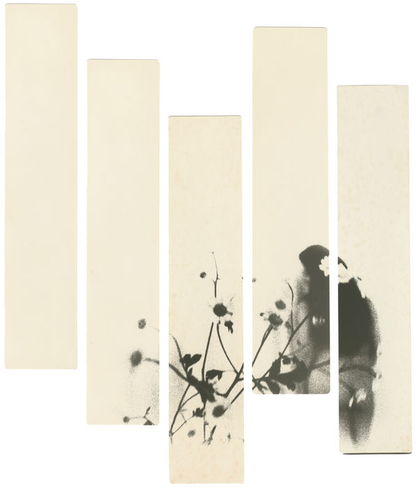 Miho Kajioka, BK0469, 2019