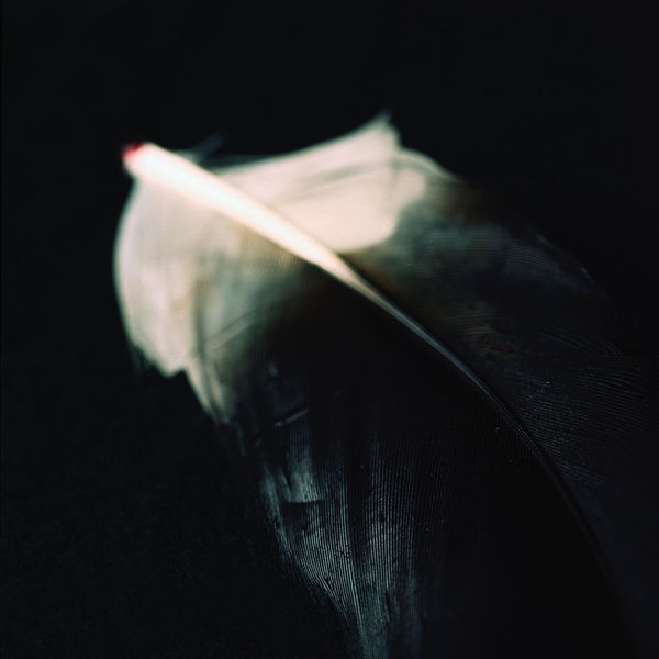 Kumi Oguro, KAT_4, 2018