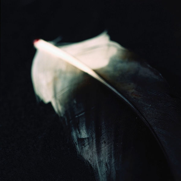 Kumi Oguro, KAT_4, 2018