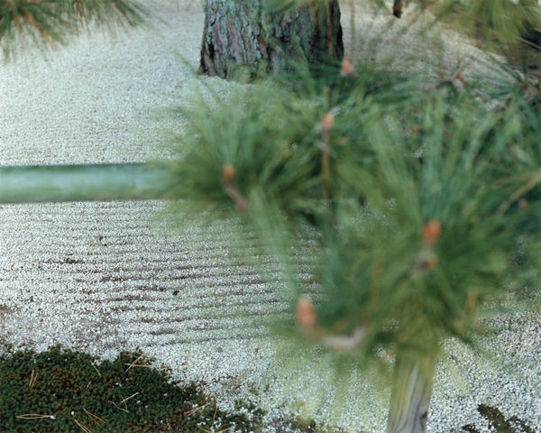 Yoko Ikeda, 1013-03 Kyoto City, Kyoto Prefecture, 2013