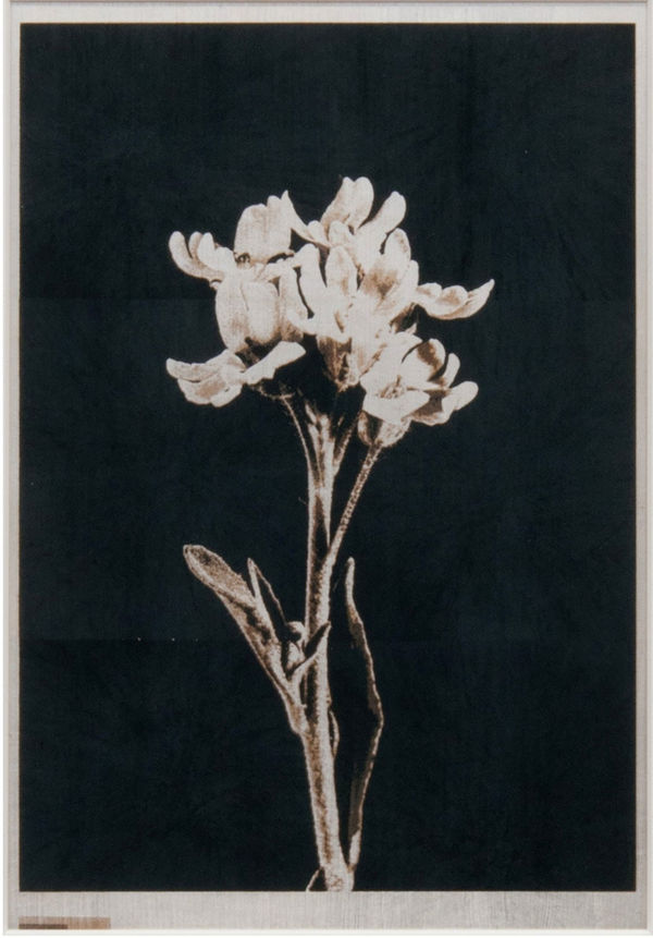 Norio Takasugi, gb-6, 2018