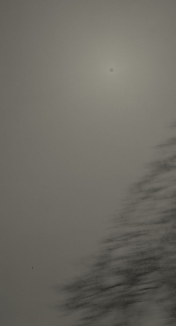 Keiichi Ito, F1363, 2019