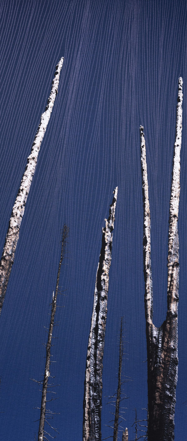 Morvarid K, Standing Still 10-5, 2026