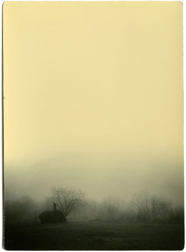 Miho Kajioka, BK0288, 2015