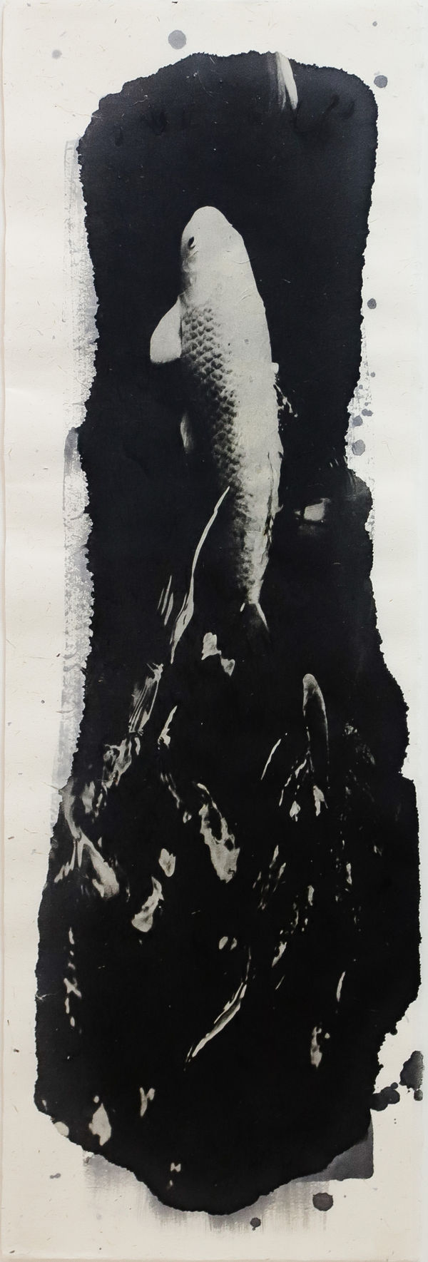 Naohiro Ninomiya, Nokomi-9, 2016