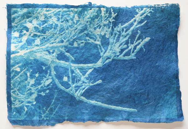 Mika Horie, Snow melts after a spring breeze, 2020/2021