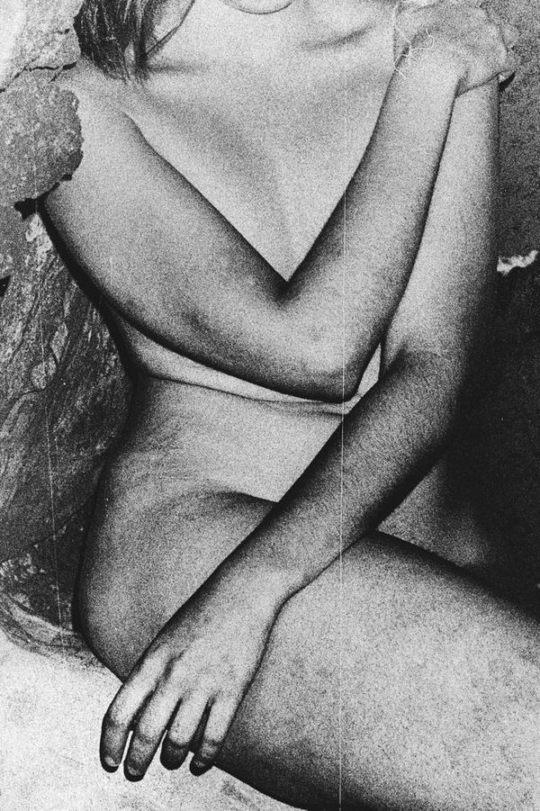 Margaret Lansink, Shy, 2017