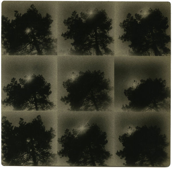 Miho Kajioka, #0047, 2022