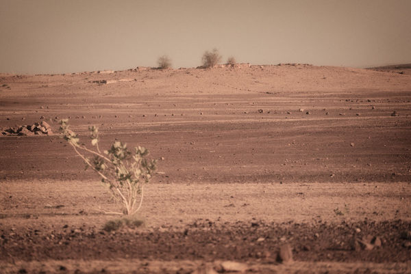 Yukari Chikura, Untitled, from Fluorite Fantasia, 2015