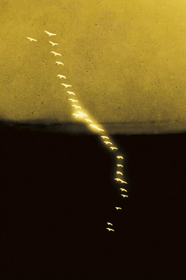 Paul Cupido, Yumemuri II, 2017