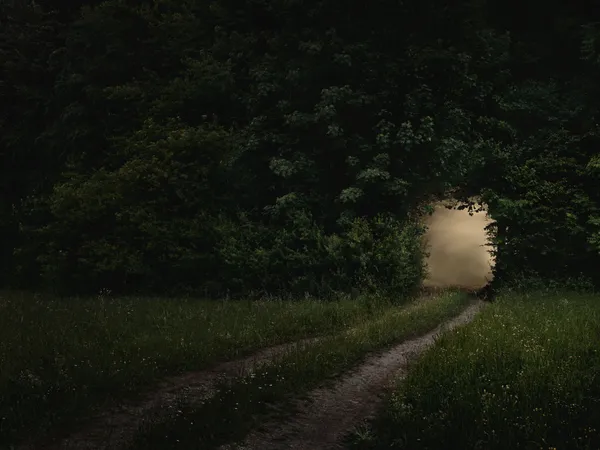 Christopher Thomas, Bittersweet 79, 2006