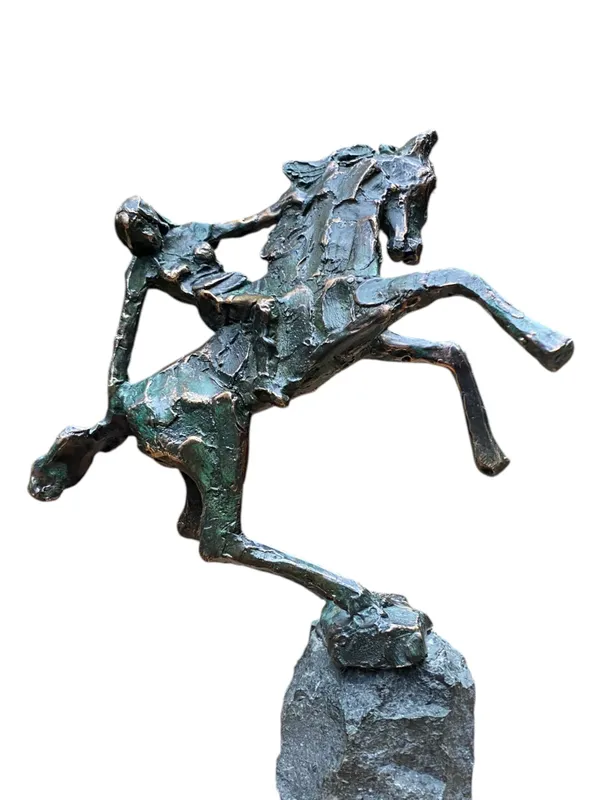 Jits Bakker, Amazone