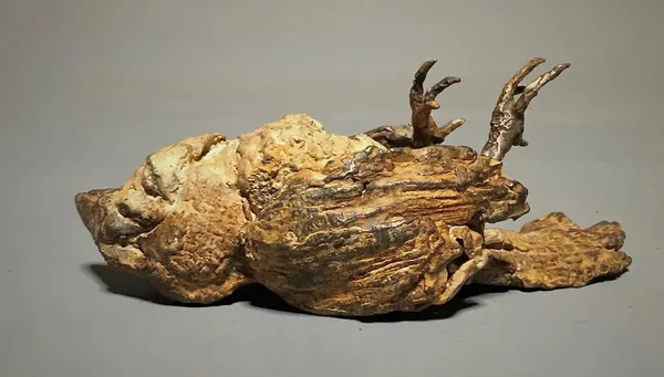 Pieter VandenDaele, Dode mus