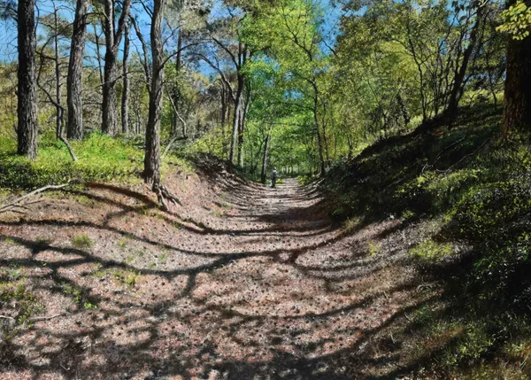 Walter Elst, De heide in de lente