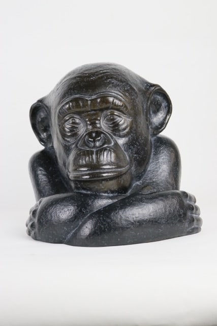 Portrait de chimpanzé, Ed 6/8