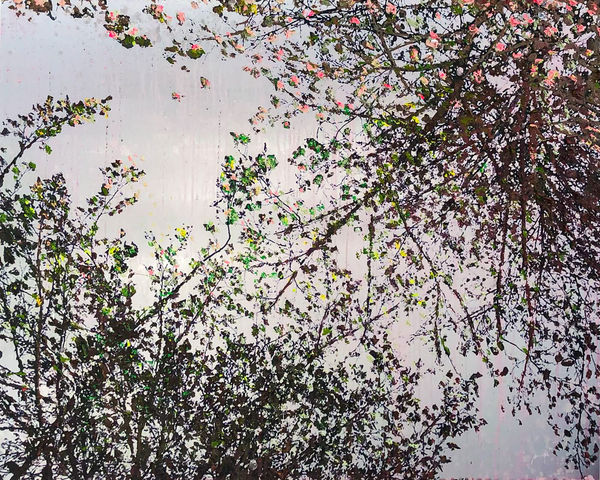 Zit Jasper in de Boom, 2020 Mixed media on aluminium 90 x 110 cm