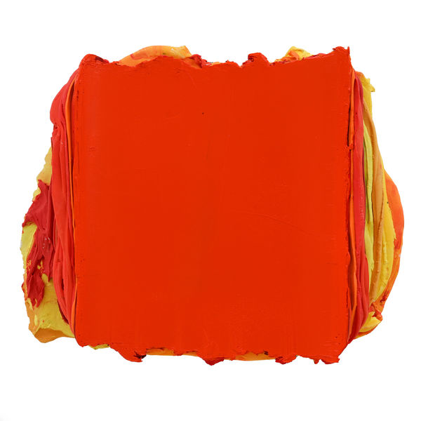 Robbert Fortgens Under the Skin 15 Mixed media on canvas 46 x 40 cm