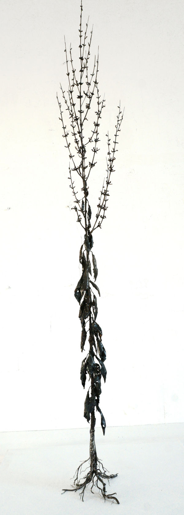 Dmitry Bulnygin, Horsetail, 2025