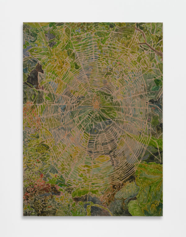 Hayley Barker Orb Weaver 2, 2024 oil on linen 112.6 x 81.8 cm (framed) 44 3/8 x 32 1/4 in