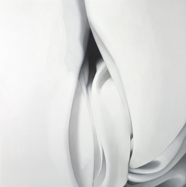 Alison Watt, Hollow, 2009