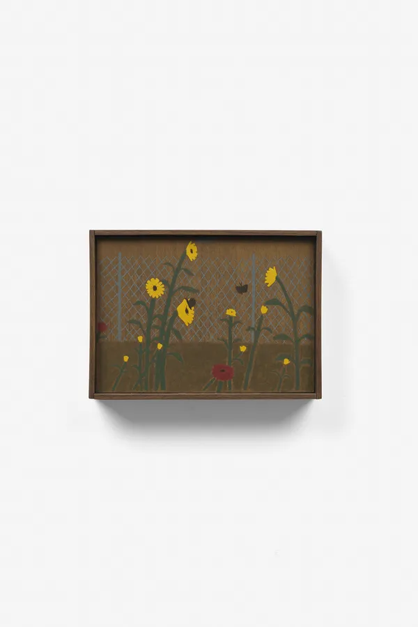 John Joseph Mitchell, Moths and Zinnias, 2025