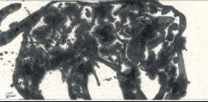 Yahon Chang, 张耀煌, Animal series : Leopard 动物系列 : 豹, 2005