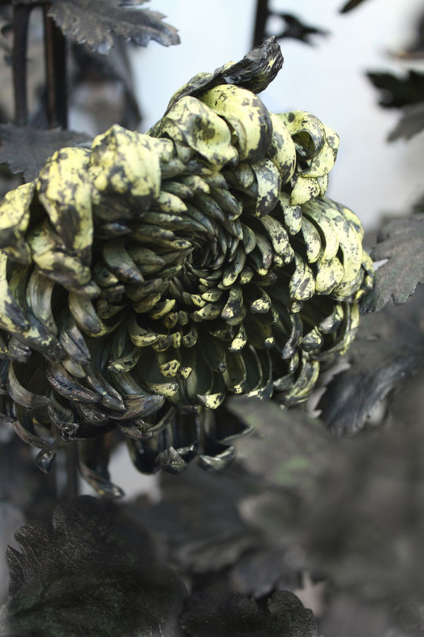 Jennifer Ma 马文, In Furious Bloom 怒放, 2012