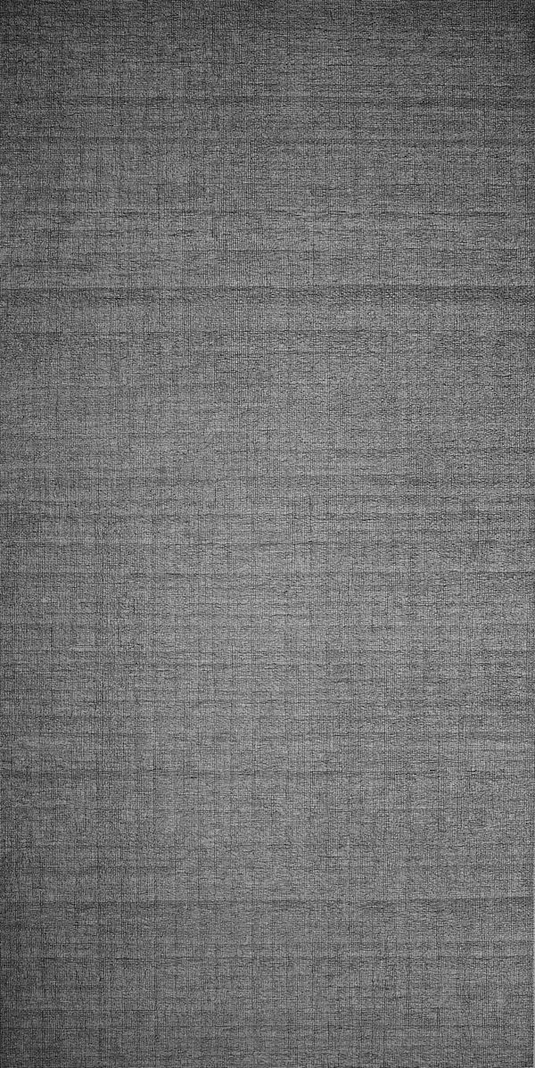 Li Huasheng 李华生, 9811, 1998