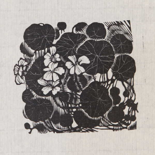 Xu Bing 徐冰, Lotus in Dry Land 旱荷花, 1980