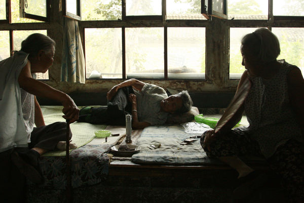 Tao Aimin 陶艾民, Lotus Fragments 残莲, 2002-2011