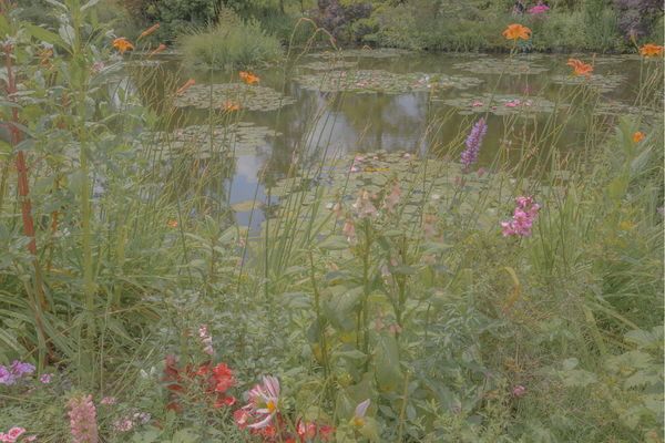 Teresa Freitas, Sanctuaire, 2024