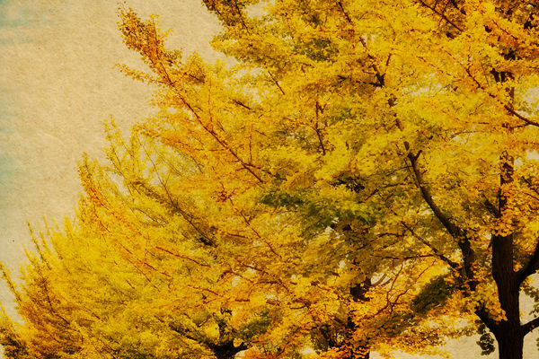 Albarrán Cabrera, The Mouth of Krishna #60197, 2016