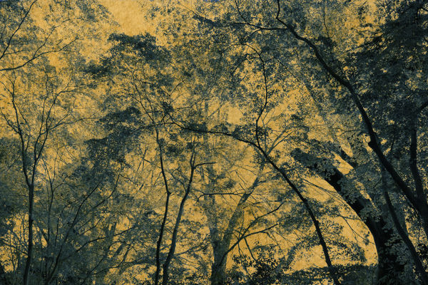 Albarrán Cabrera, The Mouth of Krishna PGG #34720, 2018