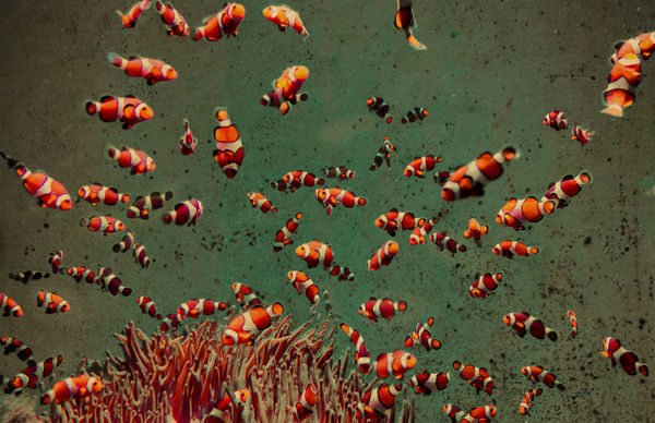 Albarrán Cabrera, The Mouth of Krishna #405, 2016