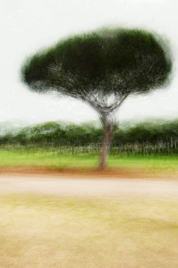 Jacob Gils, Vilamoura #1, 2012