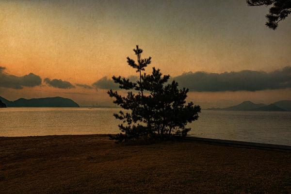 Albarrán Cabrera, The Mouth of Krishna #895, 2016