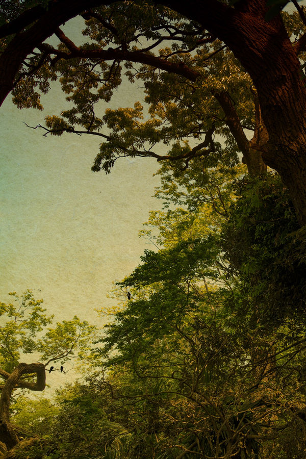 Albarrán Cabrera, The Mouth of Krishna #236, 2014