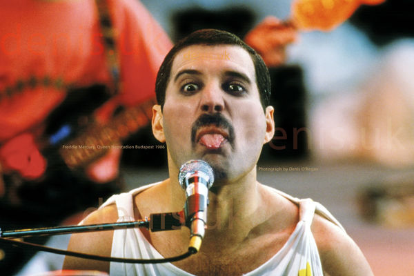 QUEEN, Freddie Live in Budapest, 1986