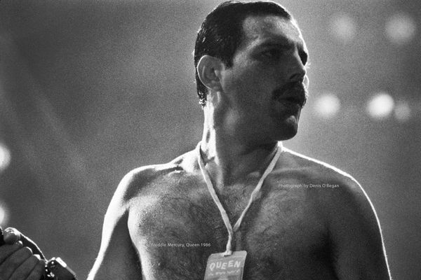 QUEEN, Freddie's Backstage Pass, 1986