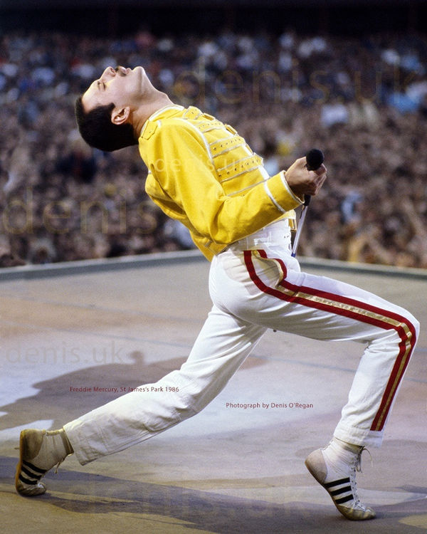 QUEEN, Freddie St James's Park, 1986