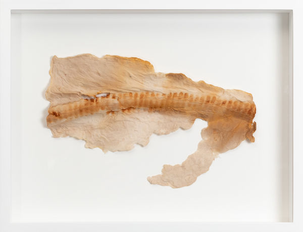 Yasue Maetake, Study for Printed Oxidation on Fiber #5