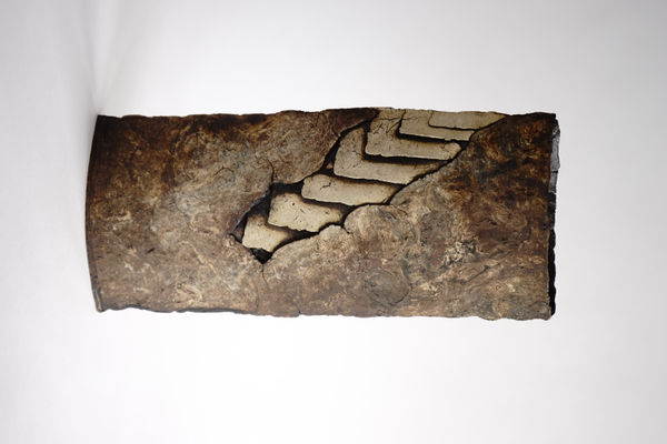 Yukiya Izumita, Sekisoh Layers, 2019