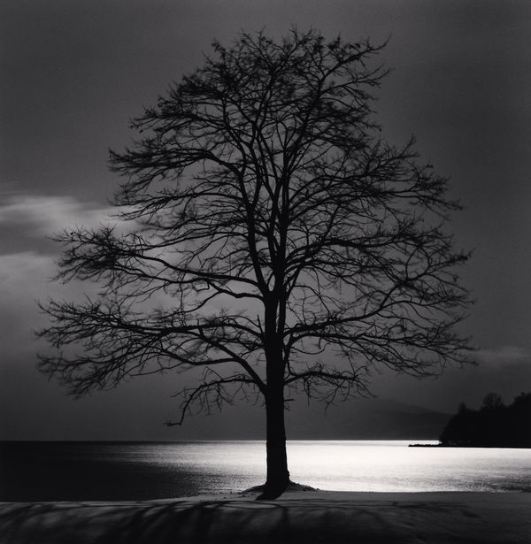 Michael Kenna, Toya Lake Tree, Sobetsu, Hokkaido, Japan, 2009