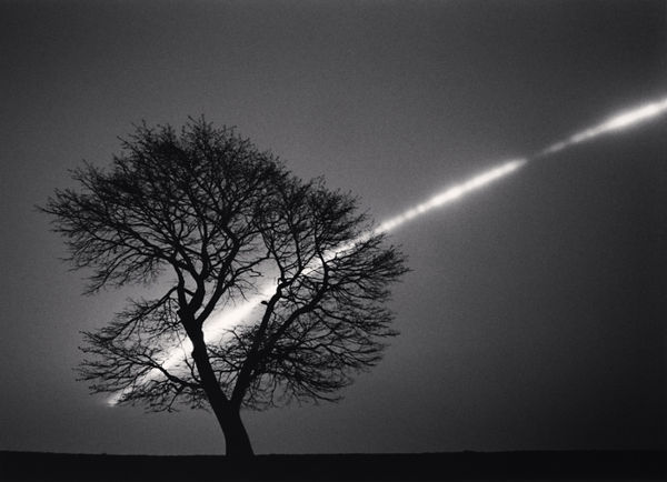 Michael Kenna, Sakura and Full Moon, Study 1, Urakawa, Hokkaido, Japan, 2015