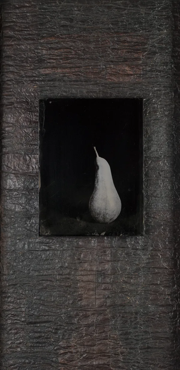 Steffen Diemer, Birne, WVZ 1204, 2024